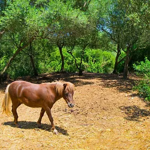  Villa Es Fangar By Mallorca Selection
